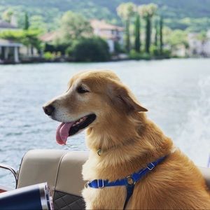 Meet your Posher, Will